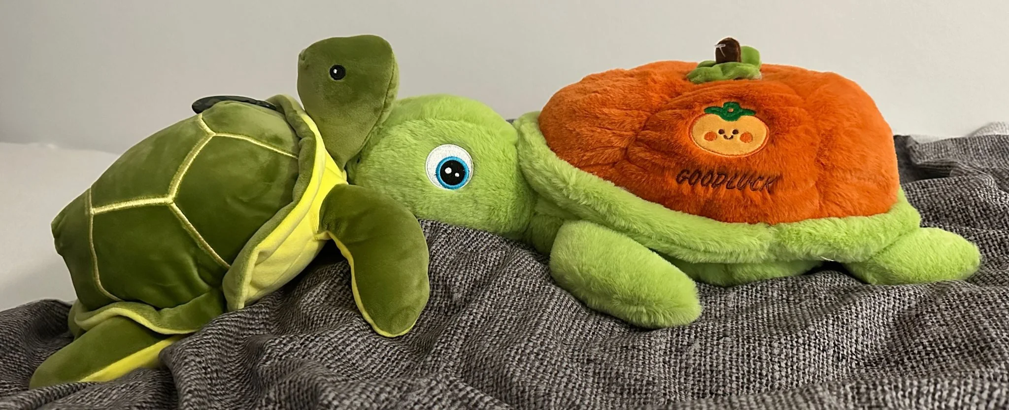 SOMA Kuscheltier Schildkröte Plüschtier Stofftier XXL 45 cm grün