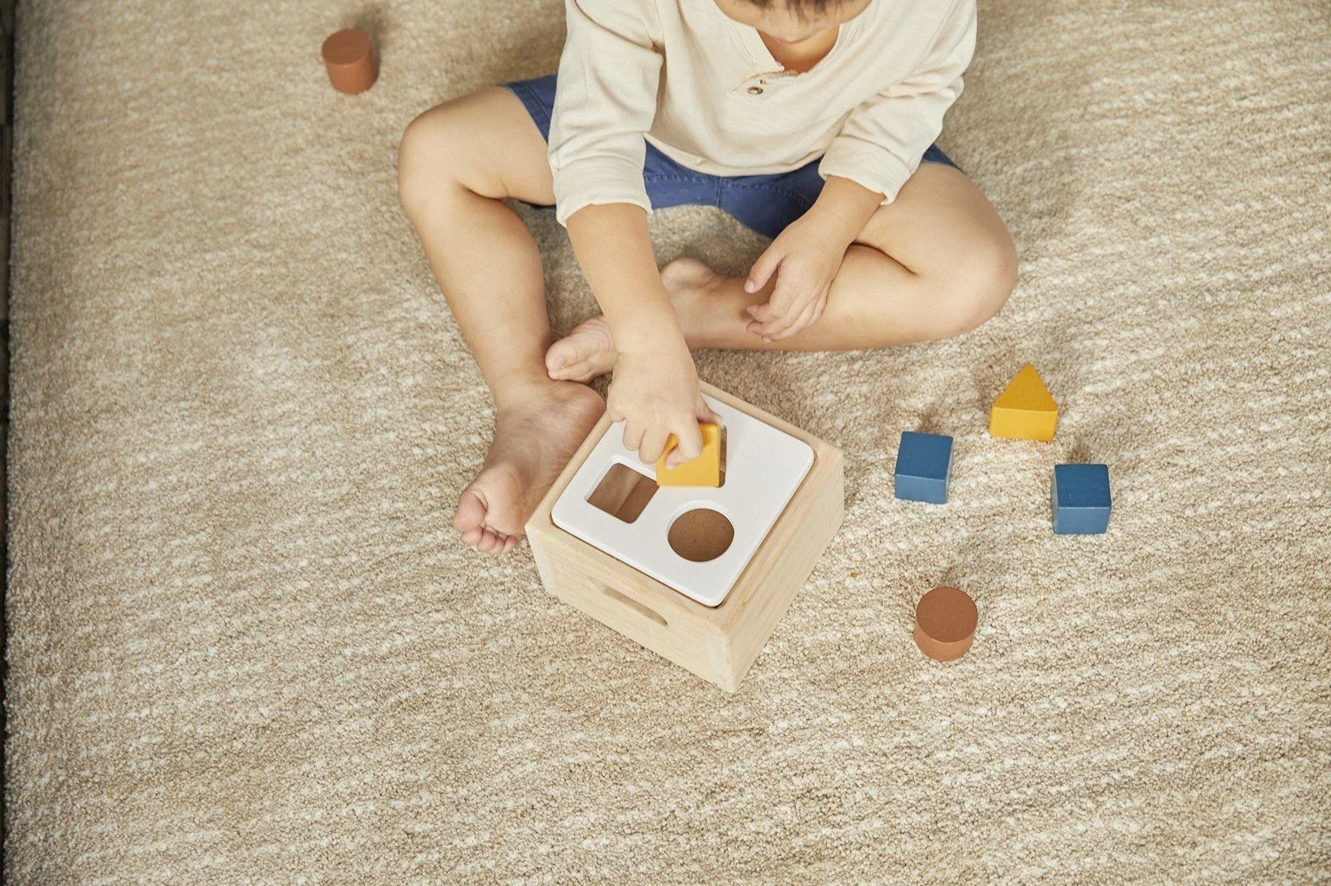 PLANTOYS Orchard Sortierspiel Lernspielzeug für Kinder